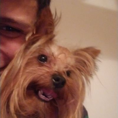 redhoodie27's profile picture. 