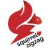 Squirrel Lover Zigzag (@squirrel_zigzag) Twitter profile photo