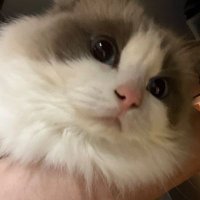 ์์ค๋ค๋
ค (@superstar_danik) 's Twitter Profile Photo ์์ค๋ค๋
ค (@superstar_danik) 's Twitter Profile Photo