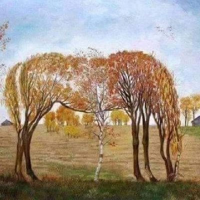 DOnyewusie's profile picture. Reading