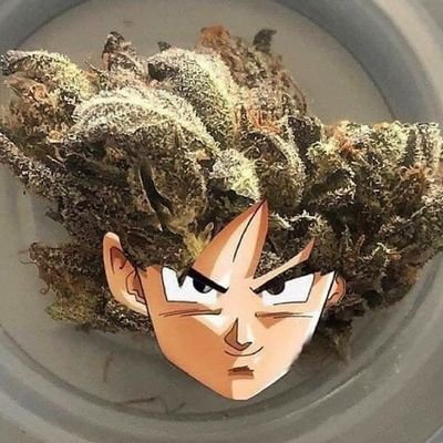 d_lighty's profile picture. Kucoin S Creator 🗯️🦊🧧

https://t.co/BGECqgCtkN