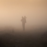 Ronald Jansen (@rnld_jansen) 's Twitter Profile