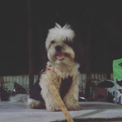 Camille_Mahait's profile picture. 