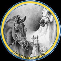 فارس النصر (46)💛💙 (@fadyalbdallh36) Twitter profile photo