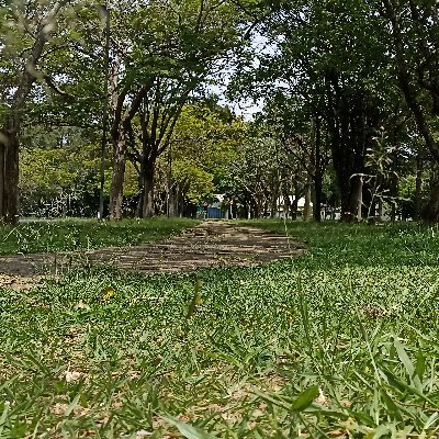 Homem, 39 anos, discreto, independente, atraído pelo feminino e buscando diversão e alguns prazeres