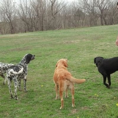 RVnMama's profile picture. Retired Aircraft Sheet Metal Mechanic, McClellan AFB, (closed)