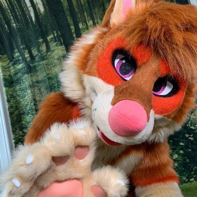Fursuiter | male curl | 30 | pretty gay | single | AT | INFP-T | Fursuits by Mixedcandy and TheKarelia