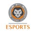 LEON ESPORTS official team AC LEON MONZA & BRIANZA (@teamlionpro) Twitter profile photo LEON ESPORTS official team AC LEON MONZA & BRIANZA (@teamlionpro) Twitter profile photo