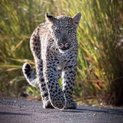 TheSail62499127's profile picture. 