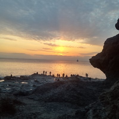 shin_valk's profile picture. 18歳 春から大学生