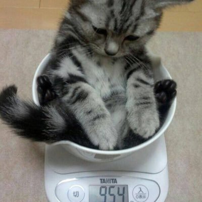 Yuutu_complaint's profile picture. 身長160cm体重70kg前後スタート……目標は目指せ55kg！いつかは叶うと良いなぁ/チョコザップの紹介コード0PZFQ8WB/