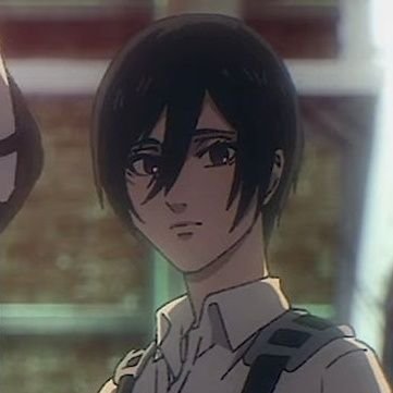 #1 Mikasa Ackerman defender (She/Her, They/Them)
Subscribe to Technoblade