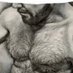 Ertekin (@ertekin_sex) Twitter profile photo Ertekin (@ertekin_sex) Twitter profile photo