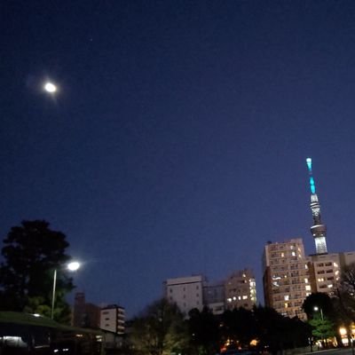 夏宮さんのプロフィール画像
