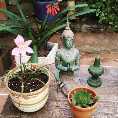 cesarfrean's profile picture. Envejeciendo/pasados los cuarenta/
lo ignoro todo. Basho