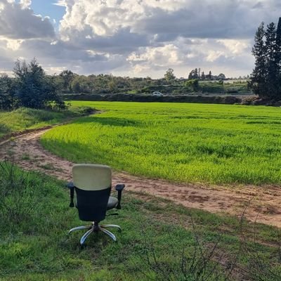 EfratEfi's profile picture. 