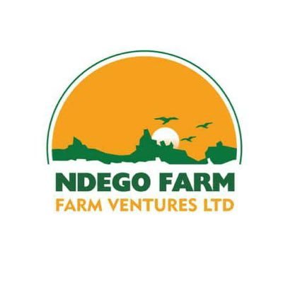 NdegoFarm Profile Picture