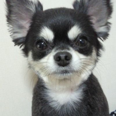 No22Tommaju's profile picture. 