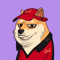 TDPLifeDoge #7828 (@tdpdoge7k) 's Twitter Profile