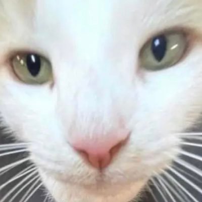 mistyyyum's profile picture. 🙀