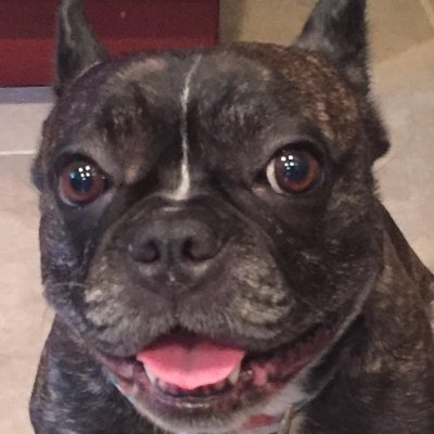 CheJoan_Breeze's profile picture. 