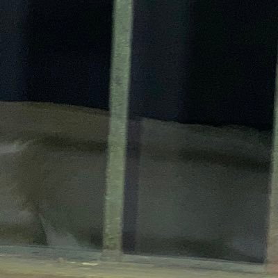 tecrajeev's profile picture. 