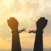 Thought For Freedom (@thoughtfor3dom) Twitter profile photo Thought For Freedom (@thoughtfor3dom) Twitter profile photo