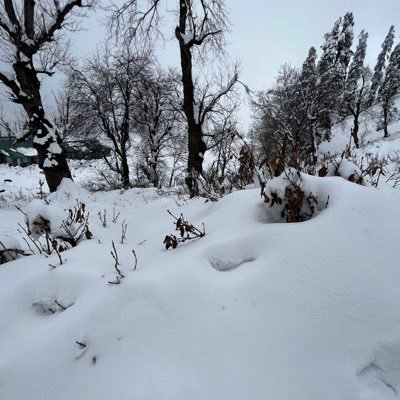 anjkvt's profile picture. explorer, wanderlust 🚐