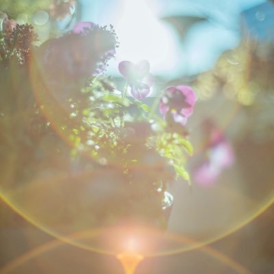 ak230224's profile picture. 情シス歴長め。Tableau勉強中です。 2023/07 DATA Saber認定頂きました