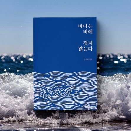 🌊 2021.07-08 백래시 규탄시위 🌊 2021.12.12 여혐 대선 규탄시위 🌊 2022.01.15 강연'세상을 바꾸는 법' 🌊 2022.02.27 여성혐오 정치 규탄시위 🌊 2022.09~11 신당역 살인사건 추모제 🌊 2022.12.04 전국 페미사이드 시위