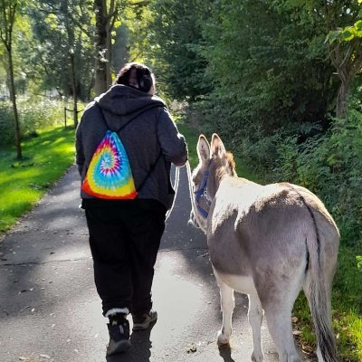 Lucas | 25 | Hen/Hun | Queer | Chronisch Ziek | Dwangtistisch | Ervarende Ervaringsdeskundige; GGZ Toerist | Zwitsal Verzamelaar, Diamond Painter, Dierenvriend.