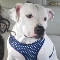 Mary (@mharos6) 's Twitter Profile