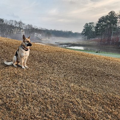 ANGC_Turf's profile picture. Certified Golf Course Superintendent at Hawks Ridge Golf Club