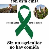 Jose Perez (@osereyo2) 's Twitter Profile