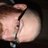 smeg__head's profile image