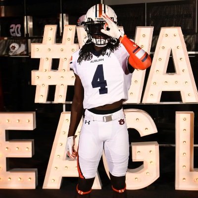 Auburn Updates, and Fan Page