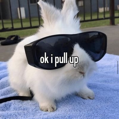 🐇BoonyBuny🥕さんのプロフィール画像