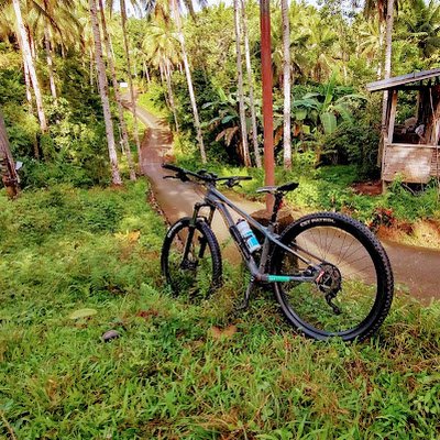 VincentOrven's profile picture. 