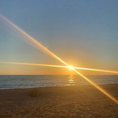 Dean594614541's profile picture. 