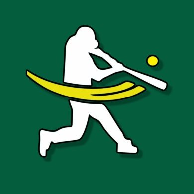 Indoor & Outdoor Batting Cages / 35-100 mph
Competitive VR Baseball & Softball Batting Practice
Proud Sponsor of multiple teams & ballparks