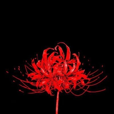 102Sopaipa's profile picture. 