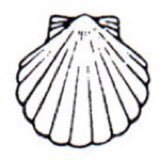 philosophe inconnu (@sophicbooks) 's Twitter Profile