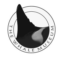 The Whale Museum (@thewhalemuseum) 's Twitter Profile