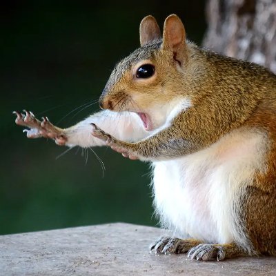 DefriNft's profile picture. Just trying to be wealthy