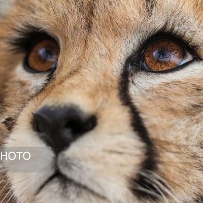 TemptationTest's profile picture. 