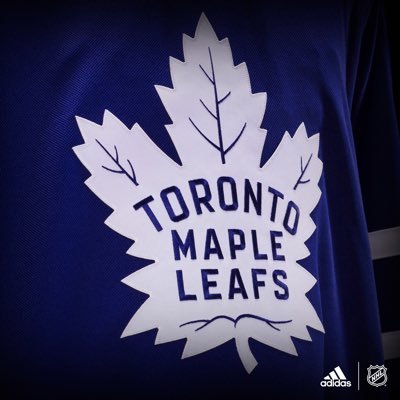 Canadian | Die-Hard Leafs Fan | Lions Fan | Casual Gamer