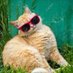 Javi (@gertrudisdazbog) Twitter profile photo Javi (@gertrudisdazbog) Twitter profile photo