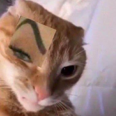 nayaaavvv's profile picture. pengen bnyk duit