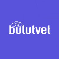 BulutVet(@BulutVet) 's Twitter Profile Photo