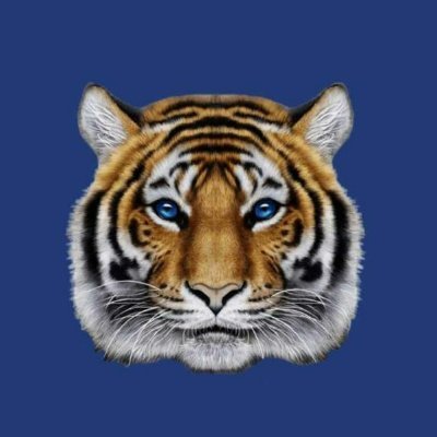 Tiger Financial News Network - Educating Investors since 1994 

Get answers to your trading questions LIVE! 1-877-927-6648

https://t.co/3CadiOVLfn